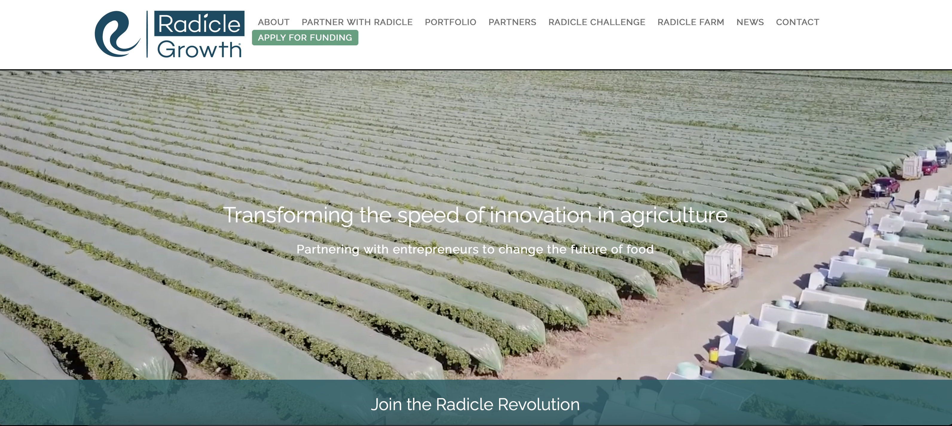 Radicle Growth web page screen shot